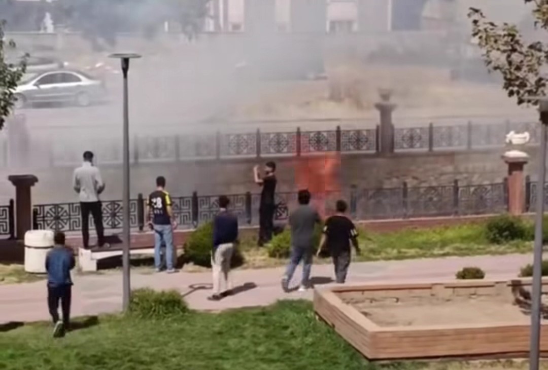 Van’da kuru ot yangını
