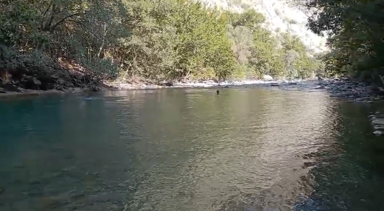 Avaşin Deresi&rsquo;nde kaybolan &ccedil;ocuğu arama &ccedil;alışmaları devam ediyor
