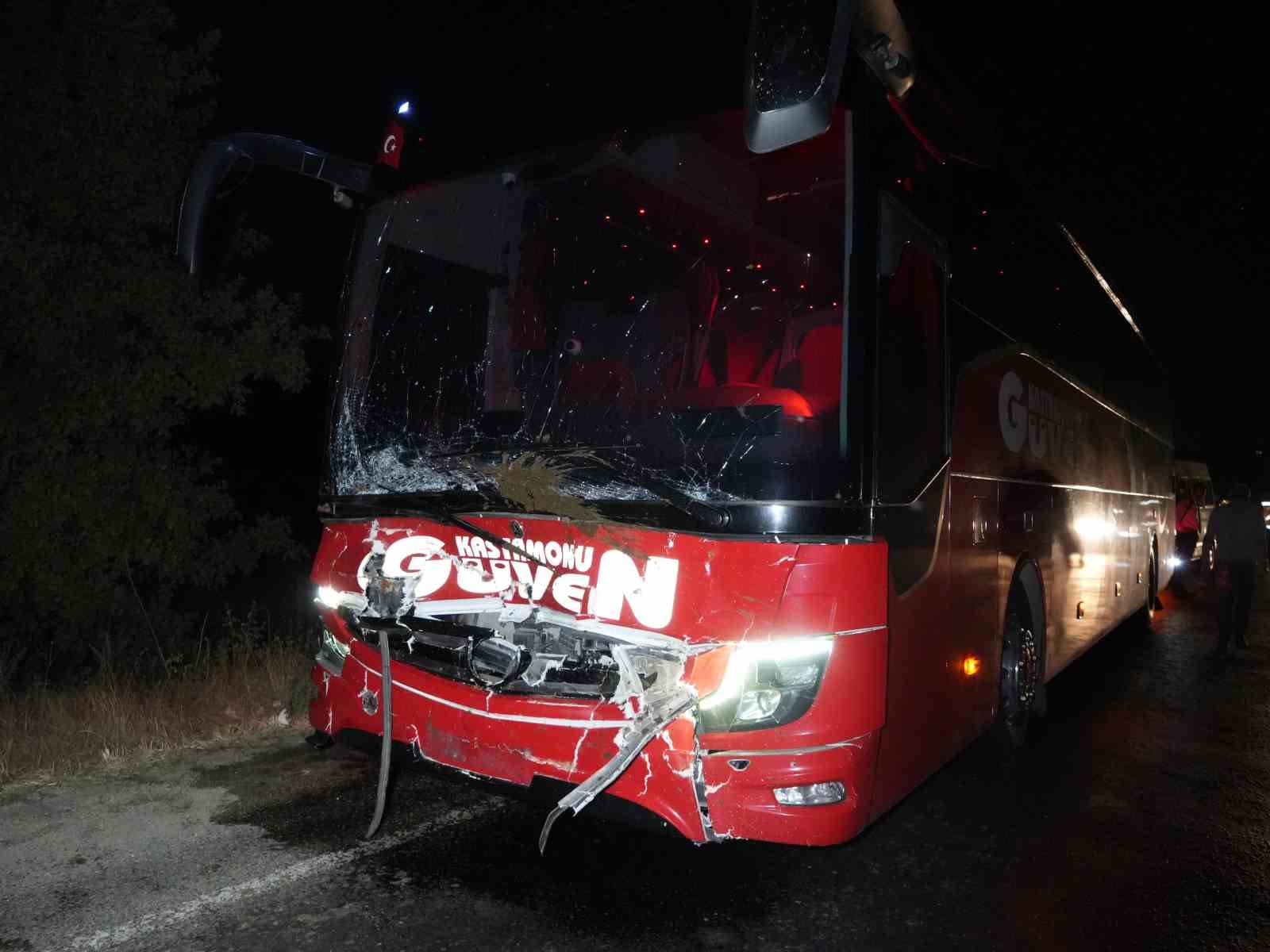 Yola &ccedil;ıkan hayvanlara otob&uuml;s ve cip &ccedil;arptı: 3 inek telef oldu
