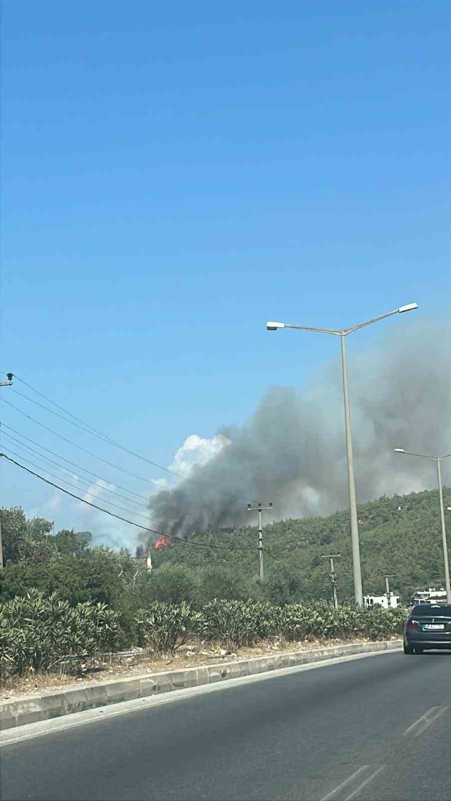 Bodrum&rsquo;da orman yangını başladı
