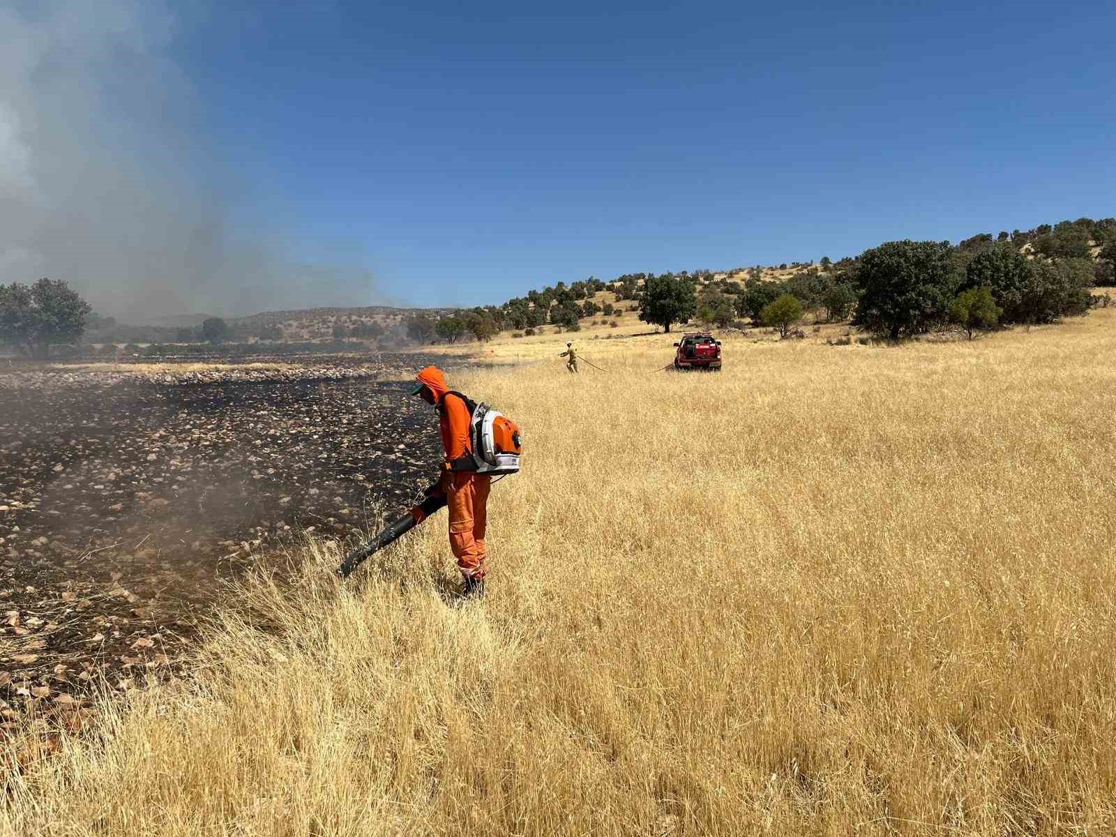 Mardin&rsquo;de &ccedil;ıkan orman yangını s&ouml;nd&uuml;r&uuml;ld&uuml;

