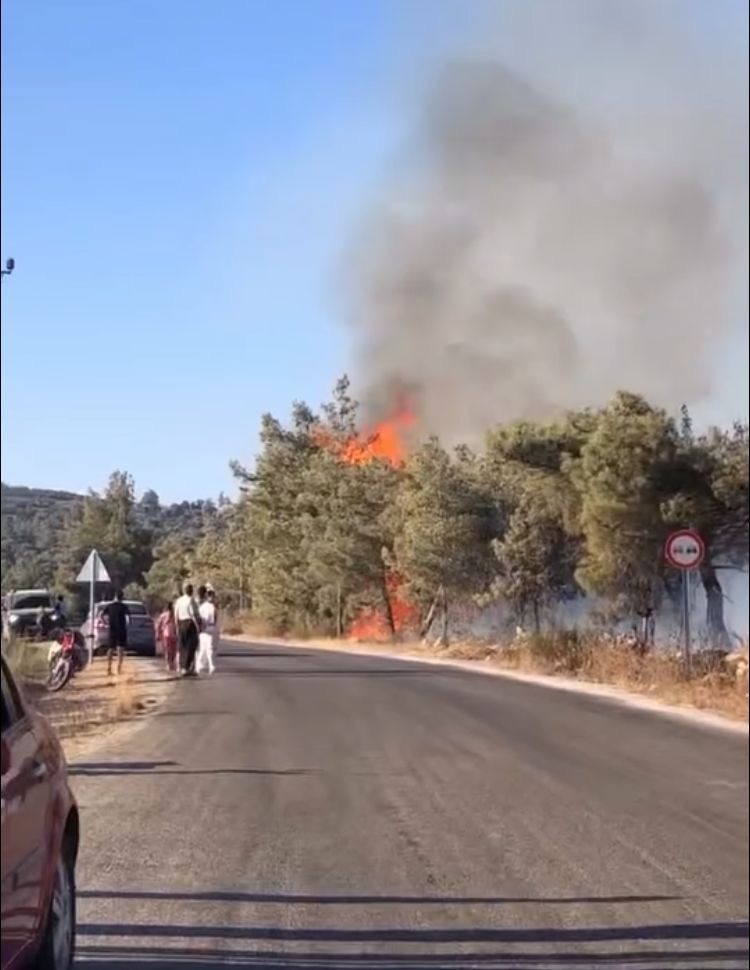 Mersin Erdemli&rsquo;de orman yangını b&uuml;y&uuml;meden s&ouml;nd&uuml;r&uuml;ld&uuml;
