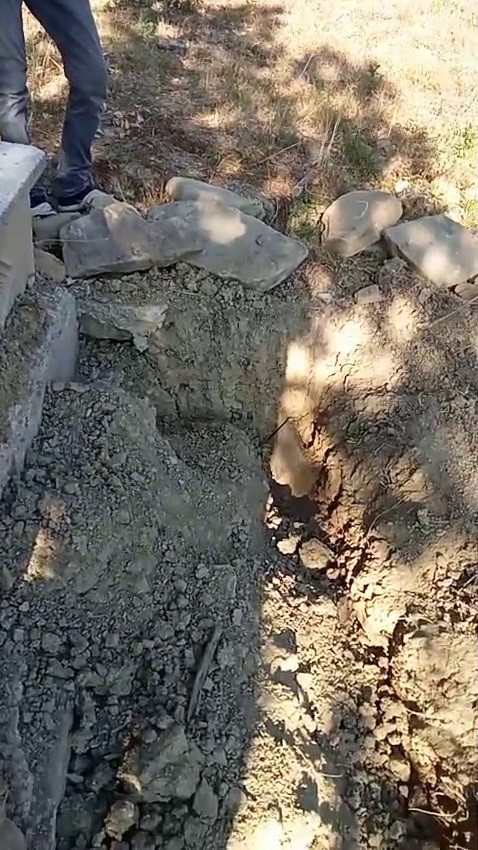 Mezarı kazıp tahtaları kıran ayı cenazeye ulaşamadan kaçtı
