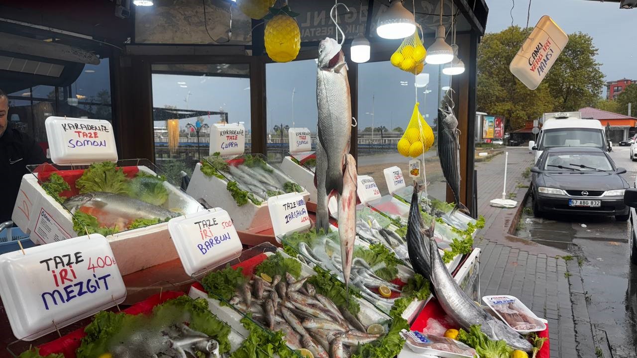 Karadeniz&rsquo;de bu yıl hamsi beklentisi b&uuml;y&uuml;k
