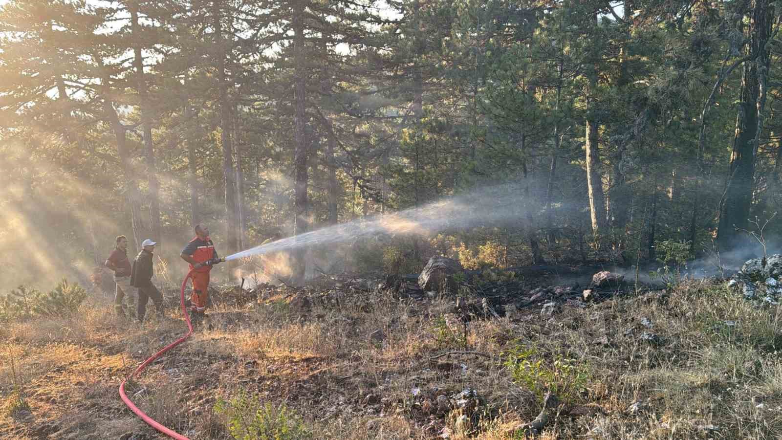 Demirci&rsquo;de orman yangınına havadan m&uuml;dahale
