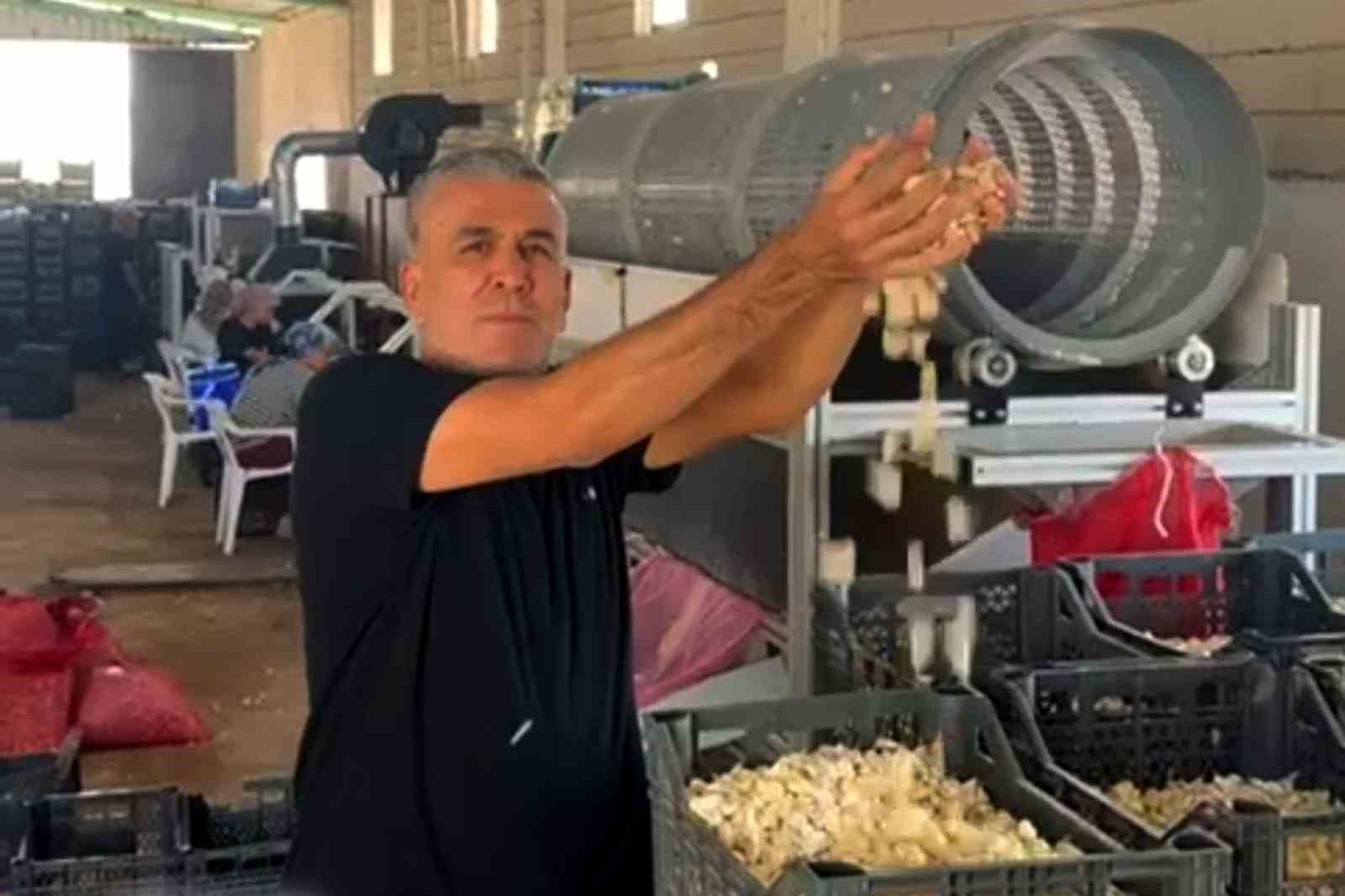 Arabanlı sarımsak çiftçisi, Ata tohumu tesisi kurdu
