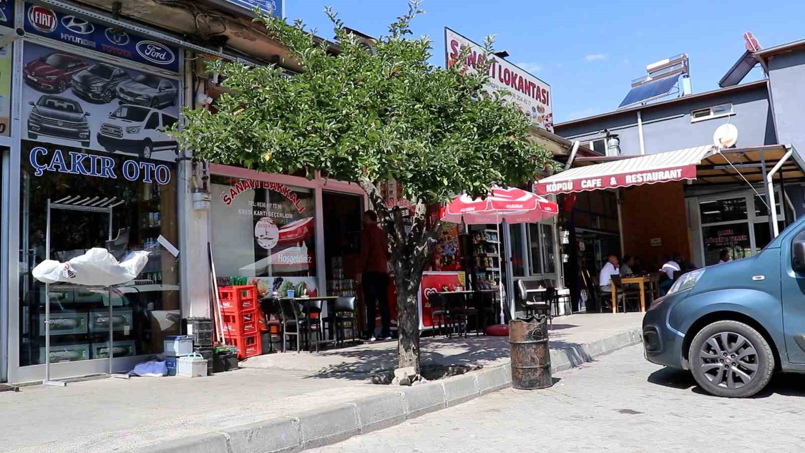 G&uuml;m&uuml;şhane&rsquo;de mevsimi şaşıran elma ağacı Eyl&uuml;l ayında &ccedil;i&ccedil;ek a&ccedil;tı
