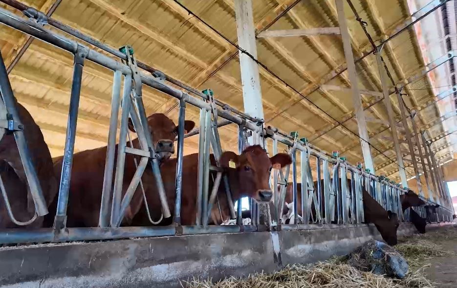 Denizli tarımı desteklerle güçleniyor
