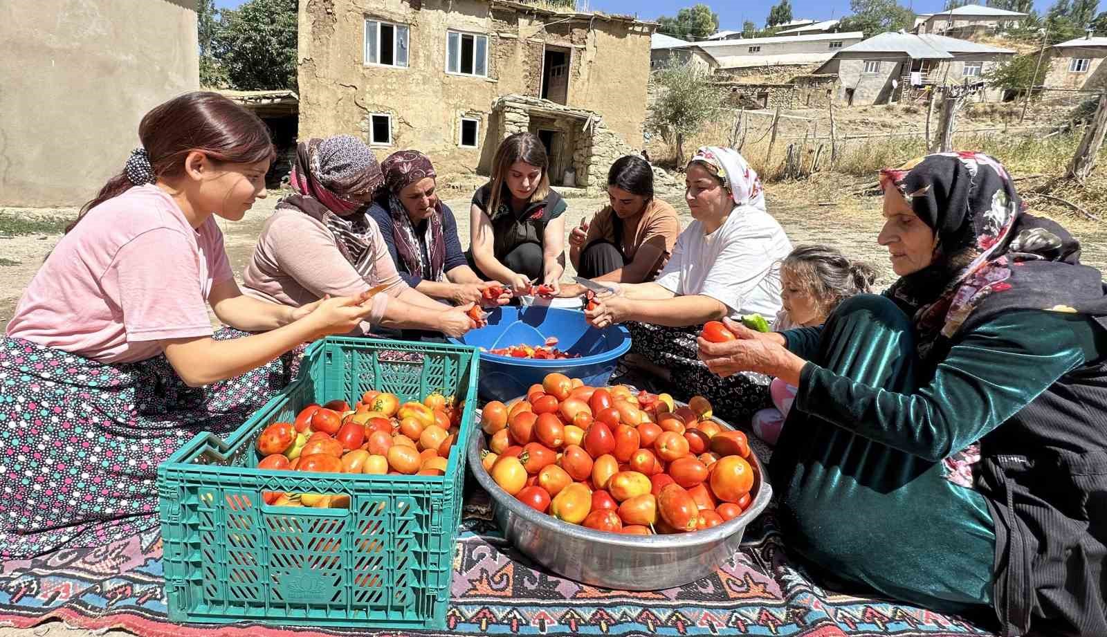 Kemah’ta kadınların imece usulü kış hazırlığı telaşı