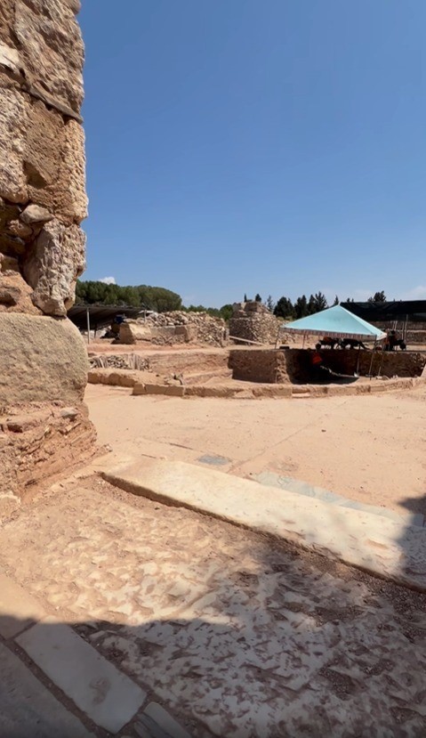 Tralleis’teki Natatio kazıları bu yıl içinde tamamlanacak