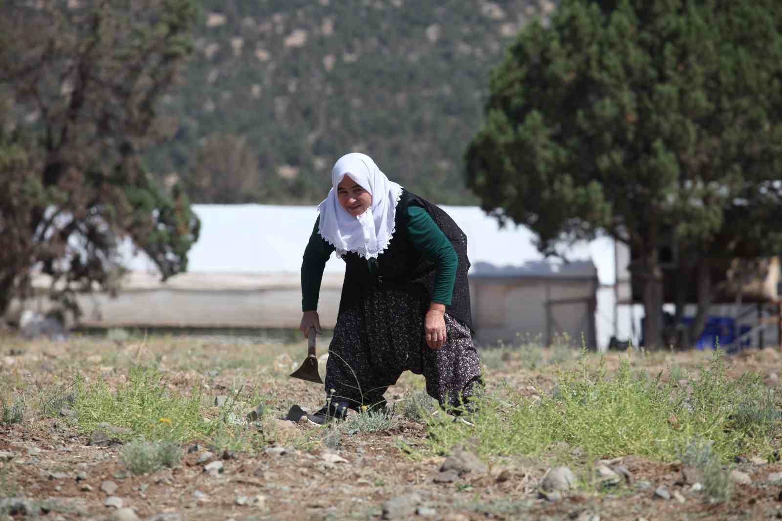 Askeri antropologdan ’Toprağınızı yabancılara satmayın’ uyarısı
