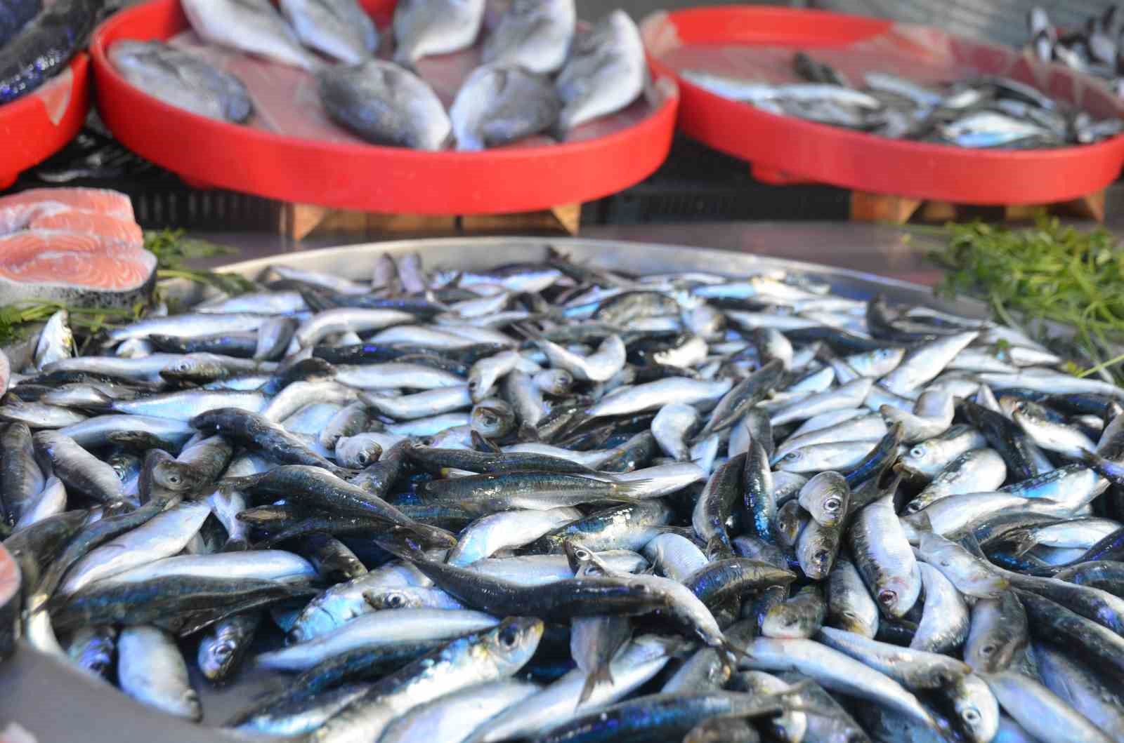 Bu yıl tezgâhların şampiyonu sardalya
