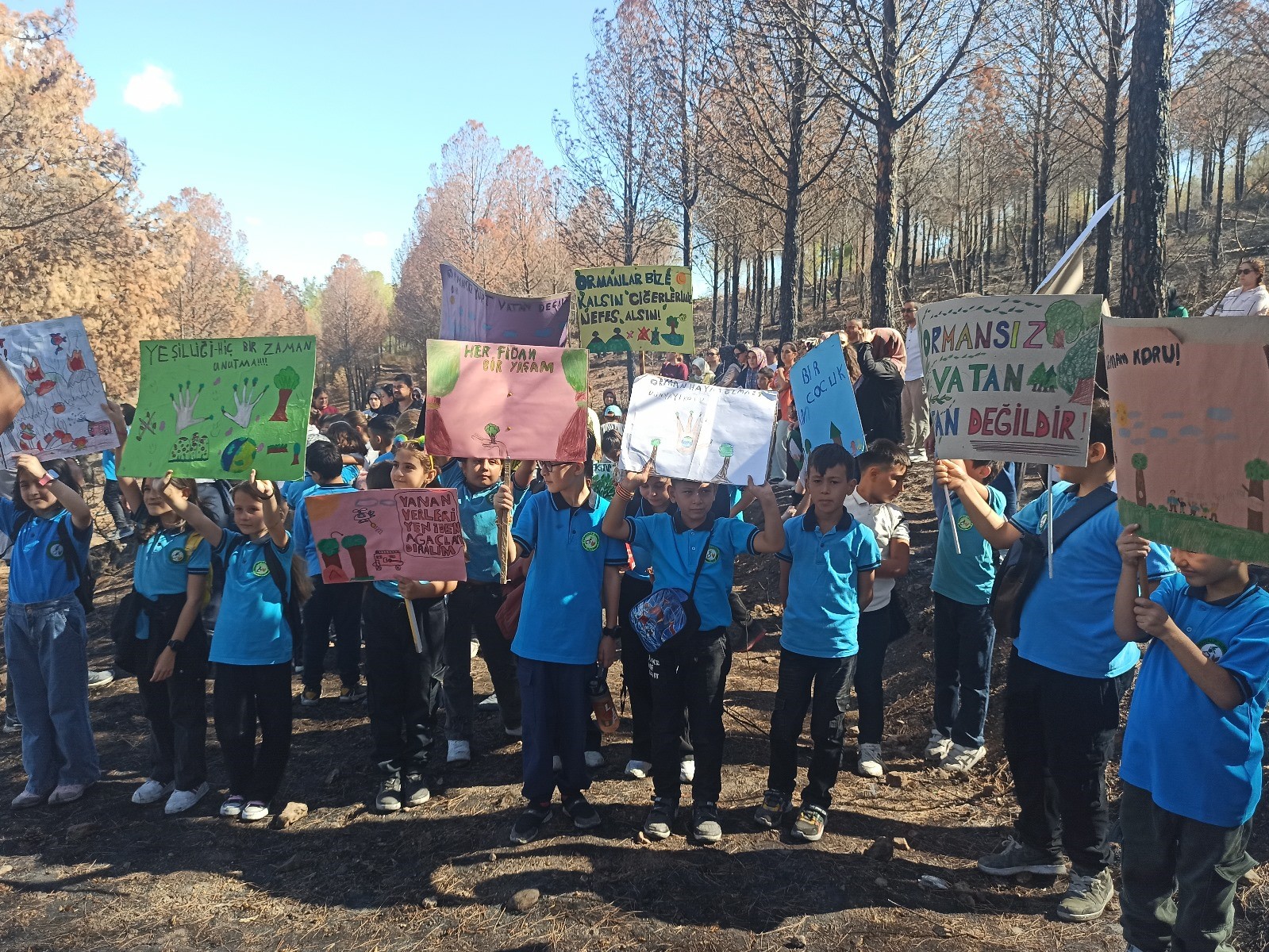 Minik y&uuml;rekler yeşil vatana sahip &ccedil;ıktı
