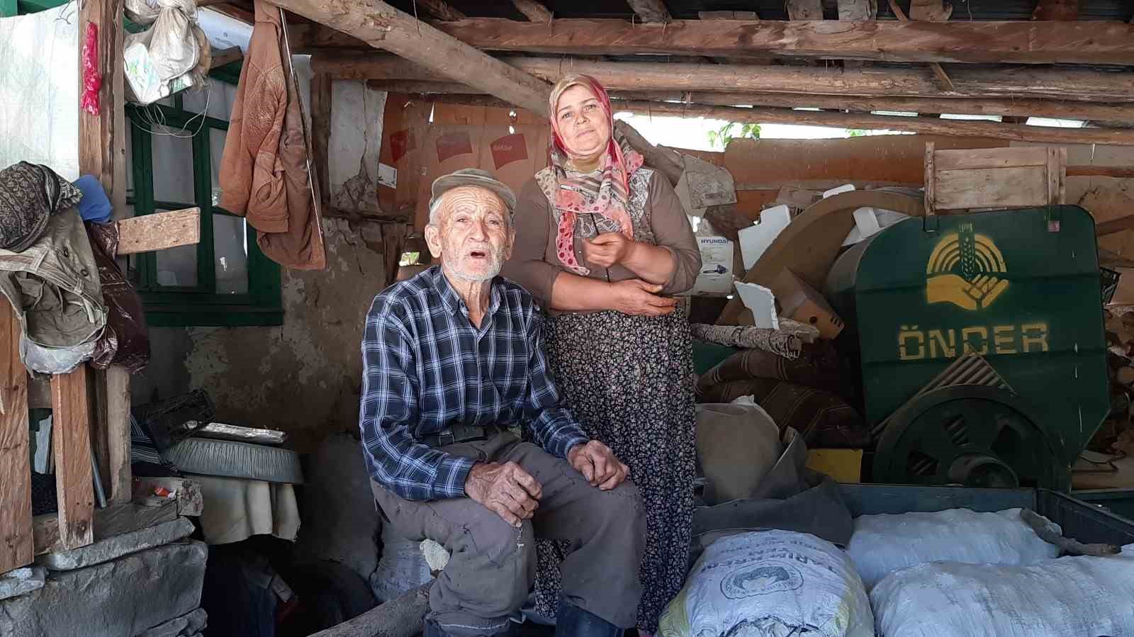 Bolu’da ayılar köylünün kabusu oldu: Düzenekle ayı kovalıyorlar
