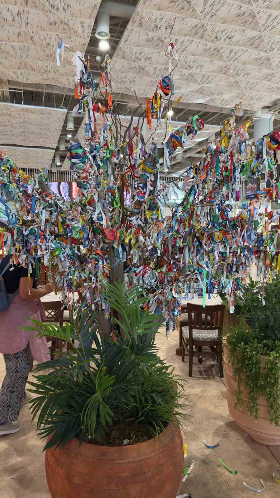 Havalimanındaki dilek ağacı her şey dahil ağacına döndü