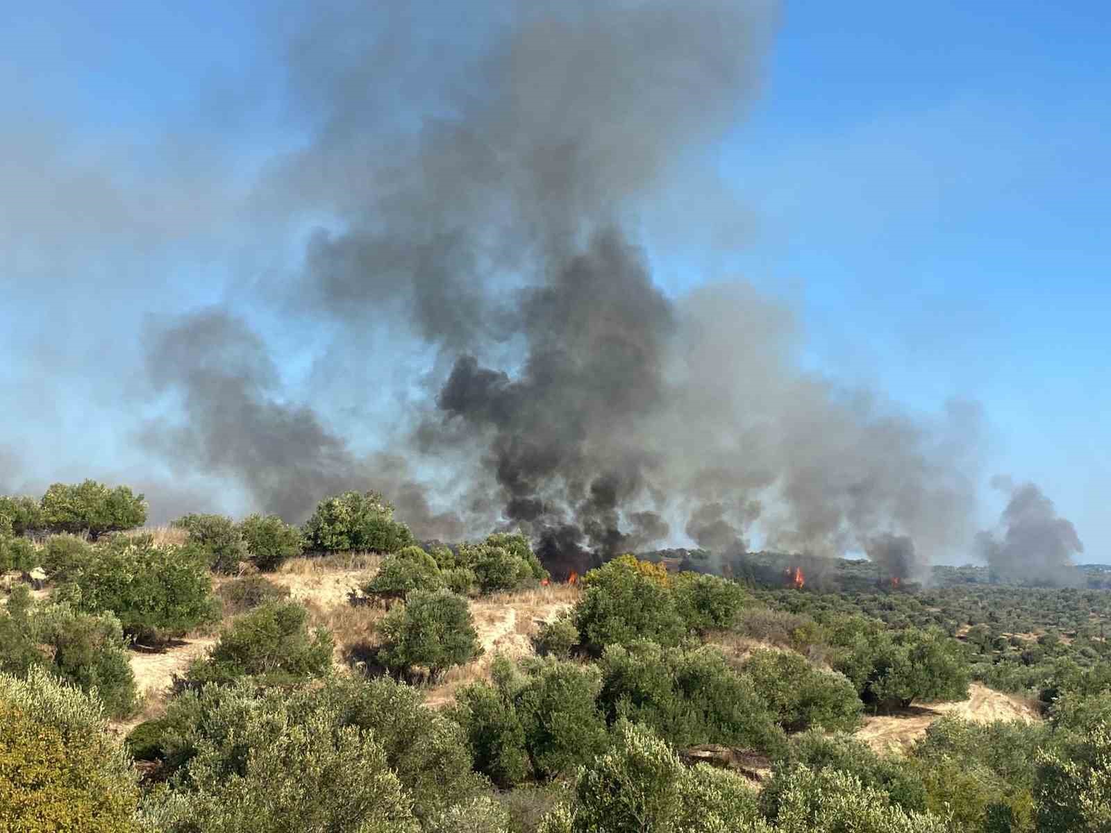 Antalya’da makilik alanda çıkan yangın zeytin ağaçlarına zarar verdi