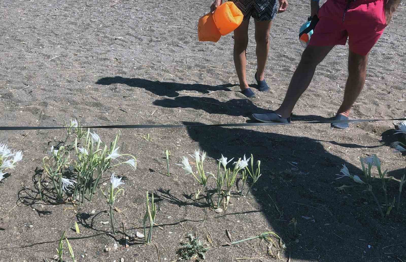 Koparmanın cezasını duyanlar yanından geçmiyor
