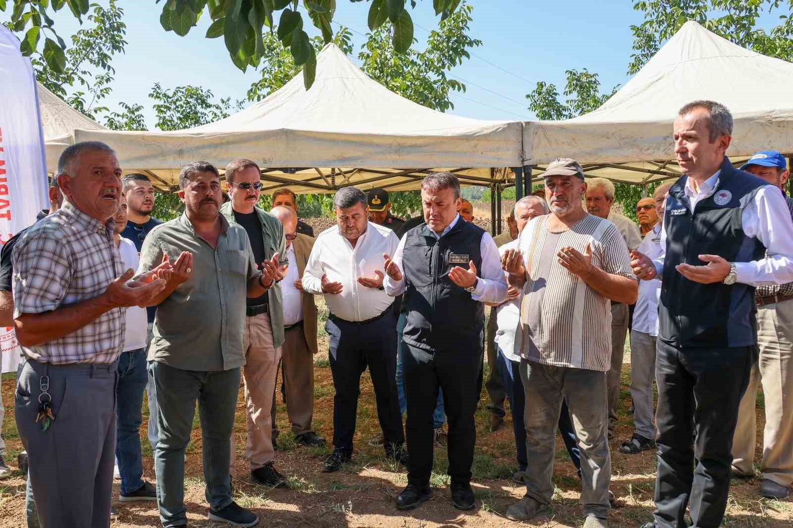 Bilecik’te yağlık ayçiçeği ekim alanı 60 bin dekardan 111 bin dekara yükseldi
