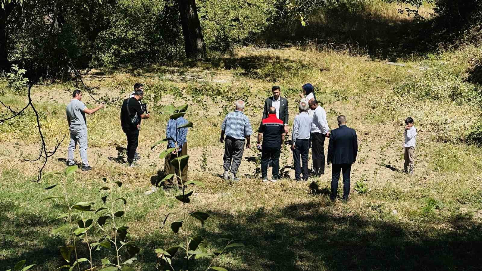Yüksekova’da yerli üzümün merkezi: Yeşiltaş köyü

