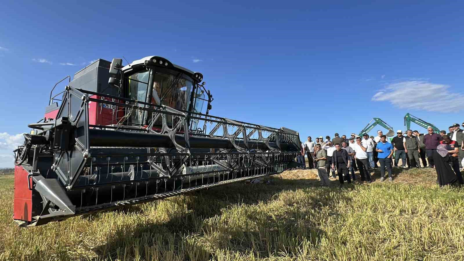 &Ccedil;anakkale&rsquo;de damla sulamayla yetiştirilen &ccedil;eltiklerde hasat zamanı
