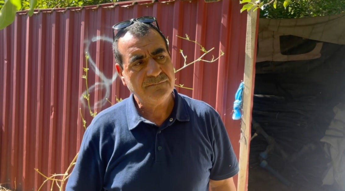 Erzincan’da başıboş sokak köpekleri 6 kuzuyu telef etti