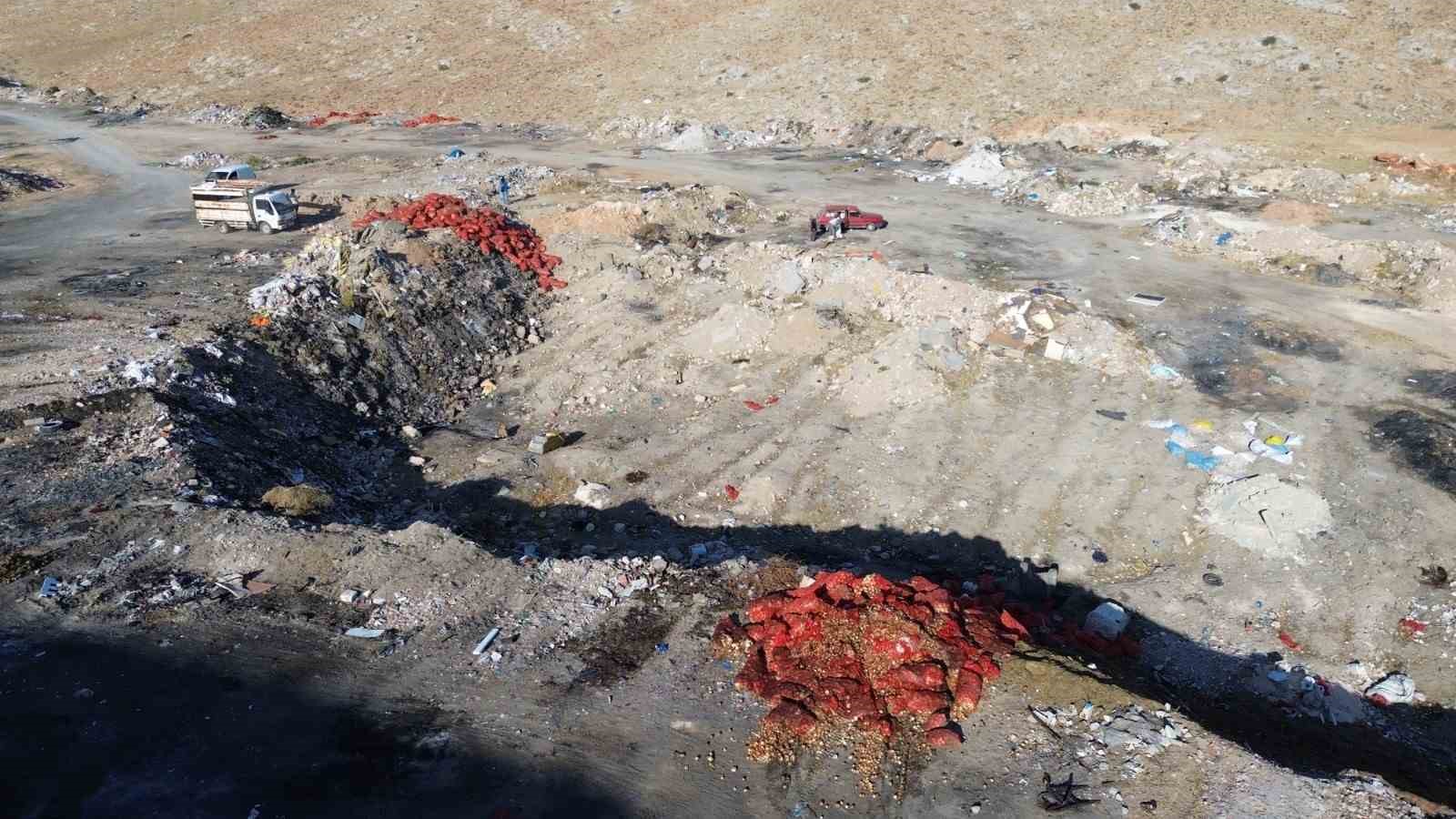 Boş araziye dökülen tonlarca soğanı vatandaşlar evlerine götürdü