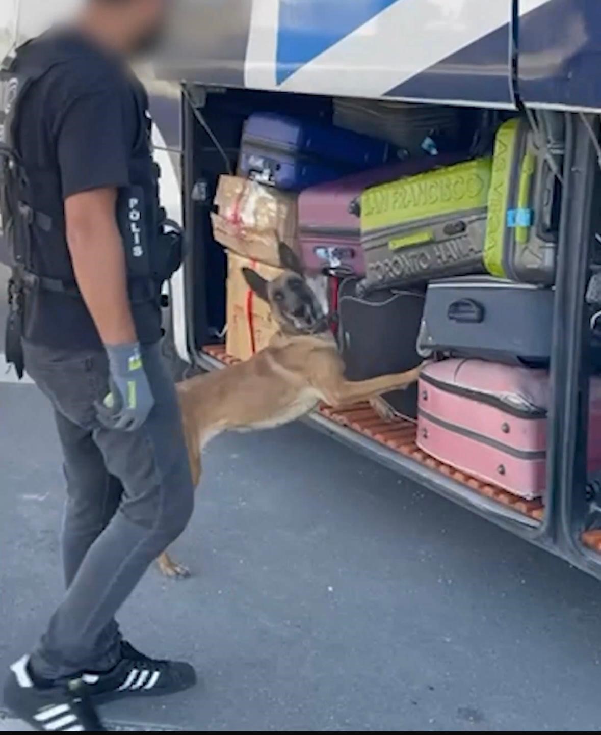 Kayseri&rsquo;de torbacılara eş zamanlı operasyon: 1 g&ouml;zaltı
