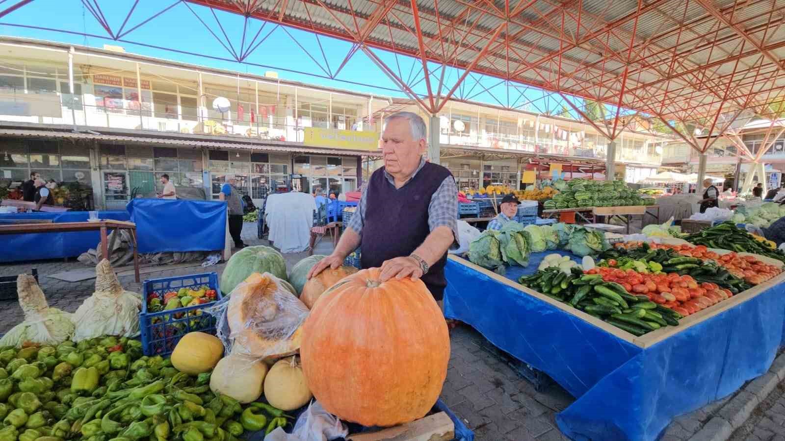 Darende’nin meşhur bal kabağı üreticinin yüzünü güldürüyor
