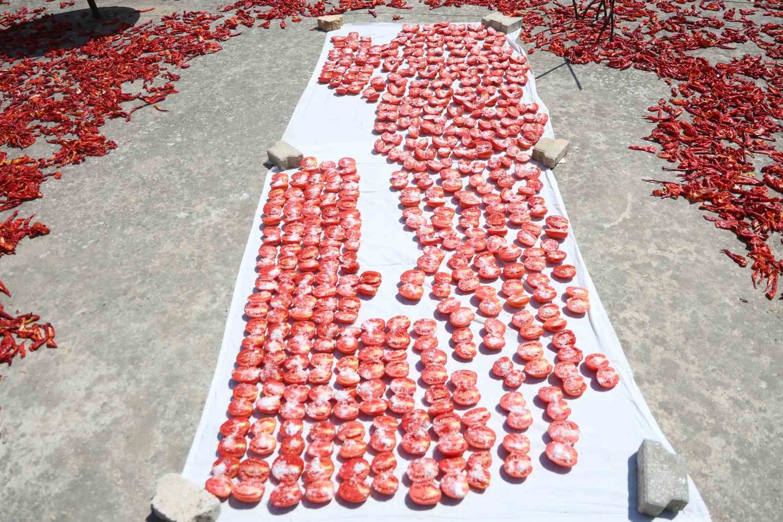 Afetzede kadınların kuruttuğu domatesler, kış aylarında sofraları süslüyor
