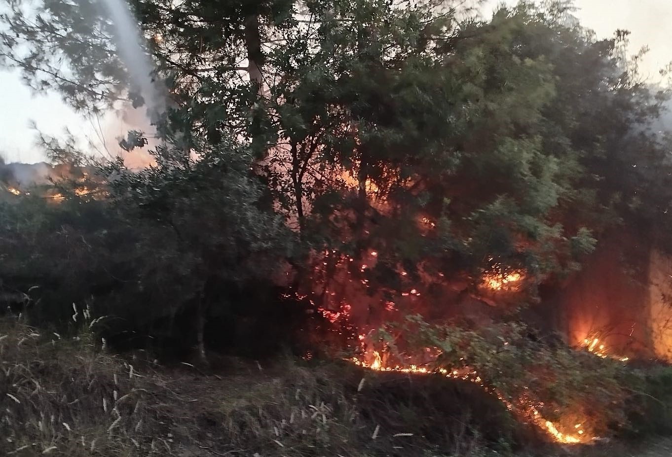 D&ouml;rtyol&rsquo;da orman yangını b&uuml;y&uuml;meden s&ouml;nd&uuml;r&uuml;ld&uuml;
