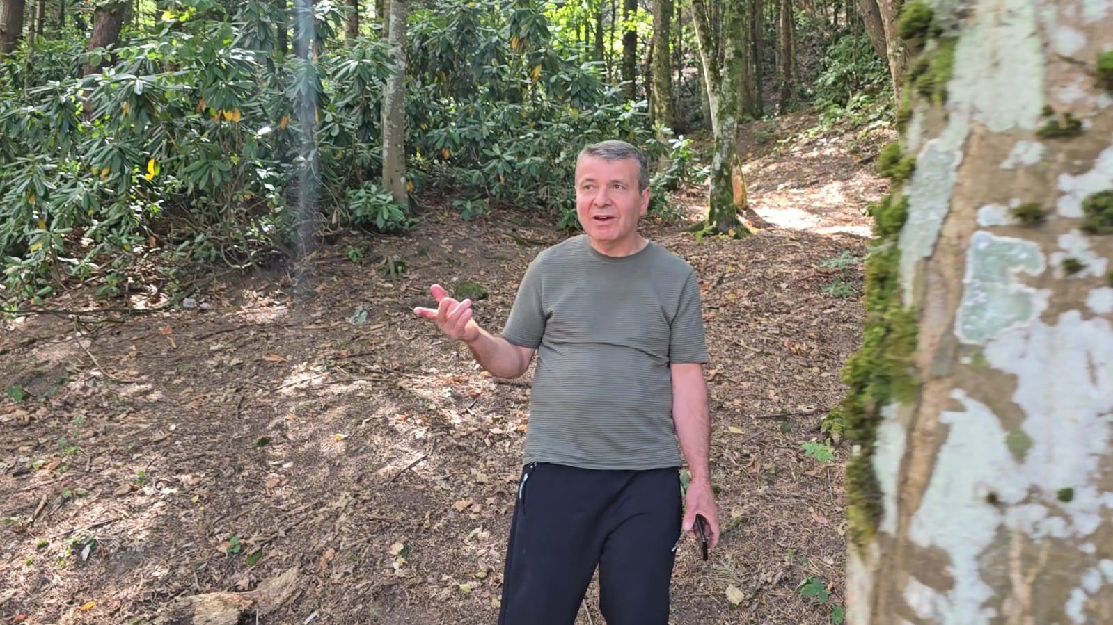 Bin 200 kilometre uzaktan gelip diktiği fidanlar orman oldu