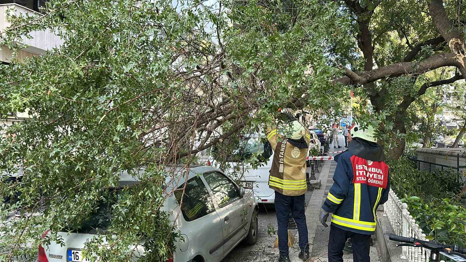Kadık&ouml;y&rsquo;de ağa&ccedil; dalı iki otomobilin &uuml;zerine devrildi

