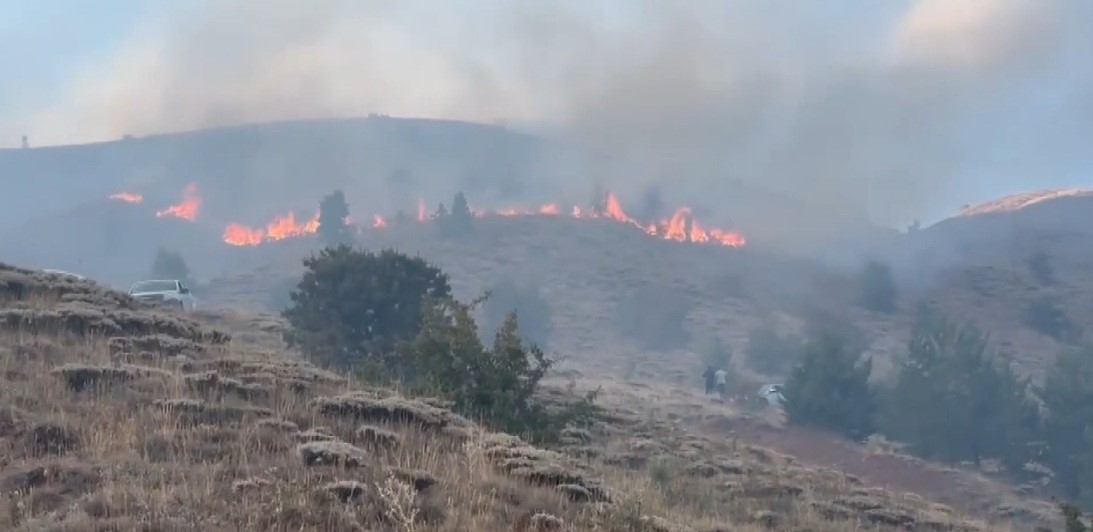 Erzincan’da örtü yangını ormana sirayet etmeden kontrol altına alındı