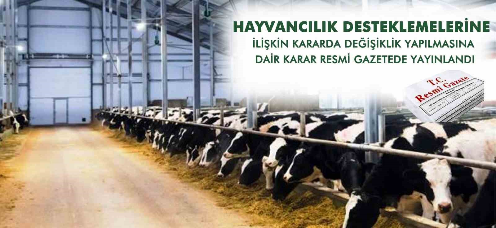 Hayvancılık ve bitkisel üretim desteklemelerinde artışa gidildi
