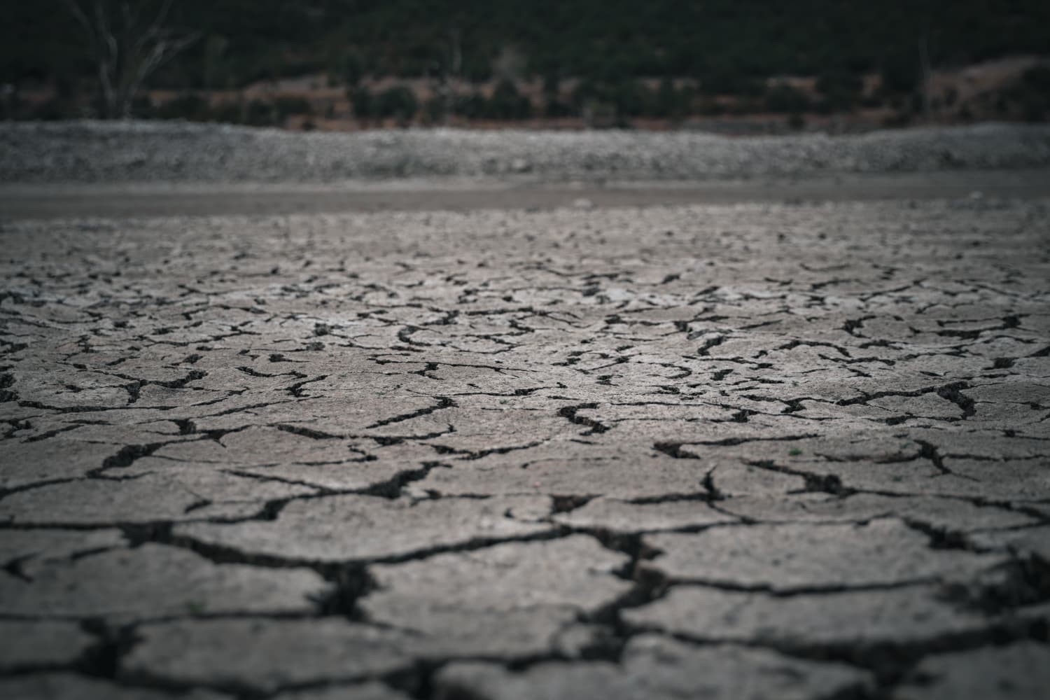 Doğan&ouml;z&uuml; Barajı&rsquo;nda su seviyesi alarm veriyor
