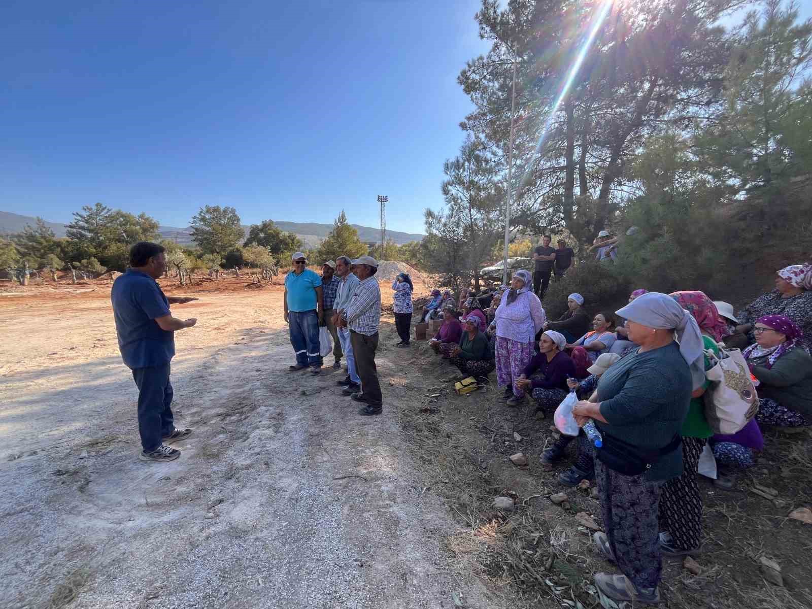 Bölge halkı taşınan zeytinleri yerinde gördü
