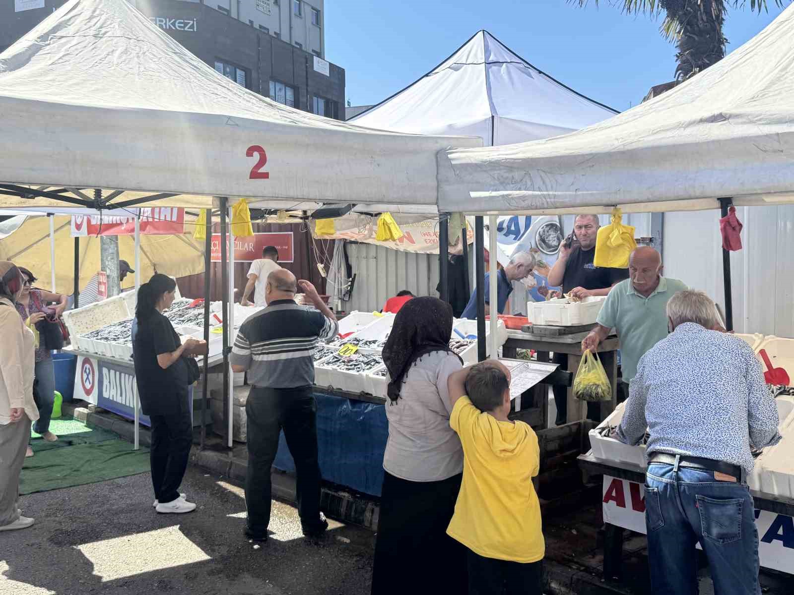 Tezgahlarda hamsi bolluğu
