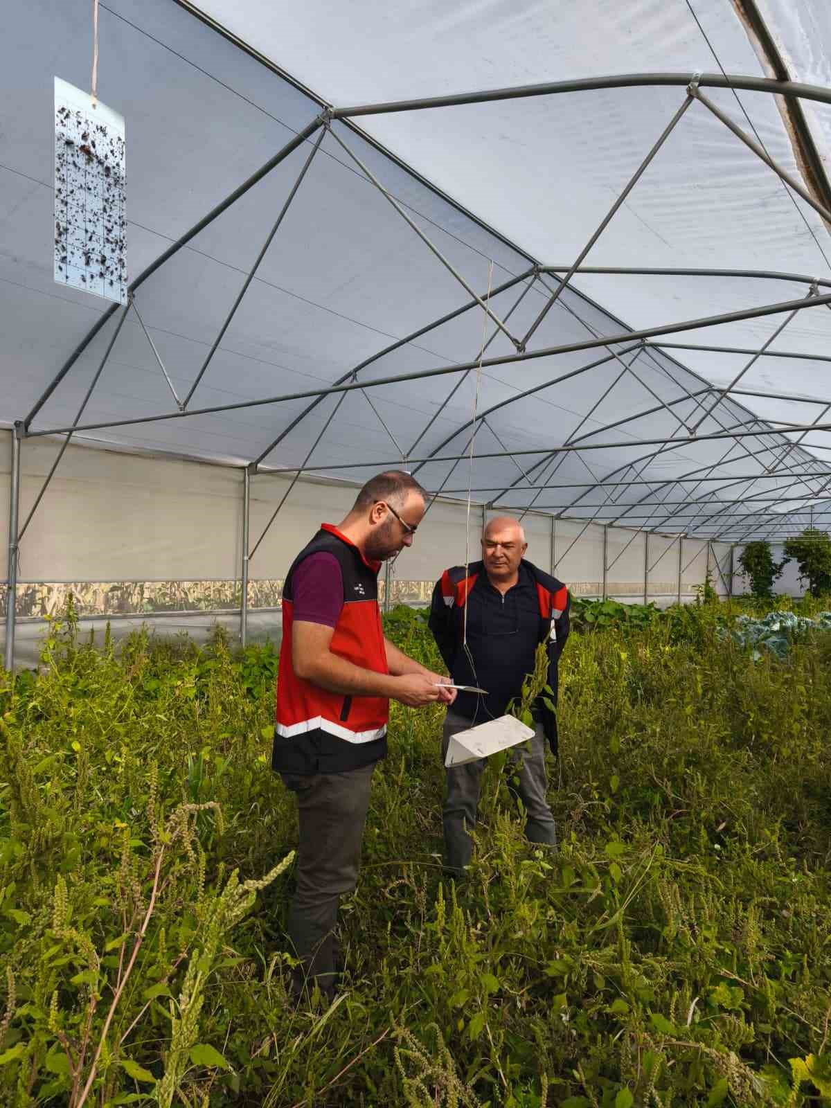 Beyşehir’de bitkisel üretim takip altında
