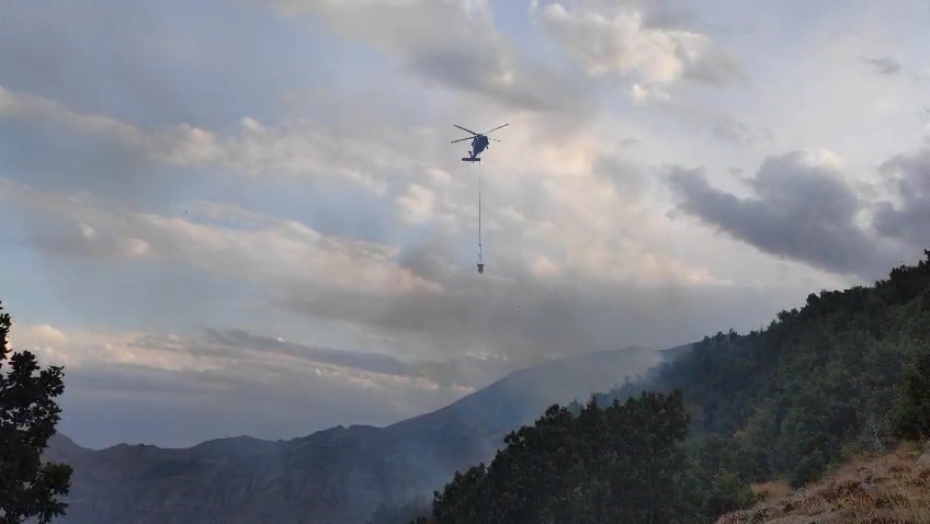 Bingöl’de çıkan orman yangınları kontrol altına alındı