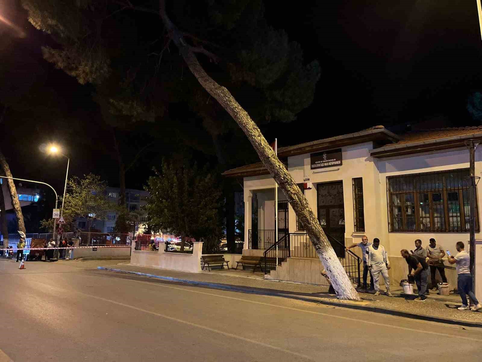 İncirliova&rsquo;da &ccedil;am ağacı kuvvetli r&uuml;zgara dayanamadı
