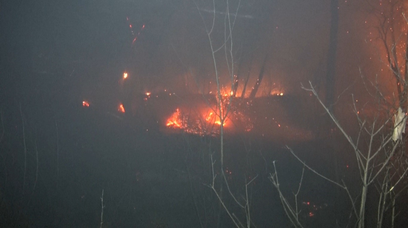 Antalya&rsquo;da ormanlık alanda yangın kontrol altına alındı
