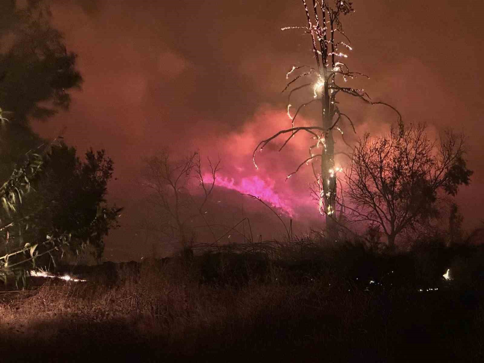 Alanya Belediye Başkanı &Ouml;z&ccedil;elik yangın b&ouml;lgesinde
