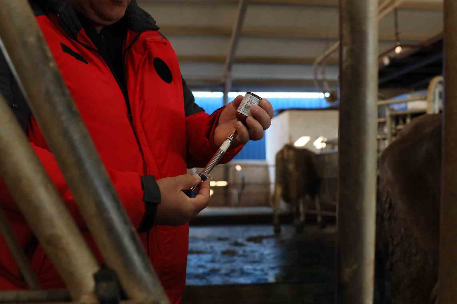 Muğla’da 240 bin hayvan şap aşısı olacak
