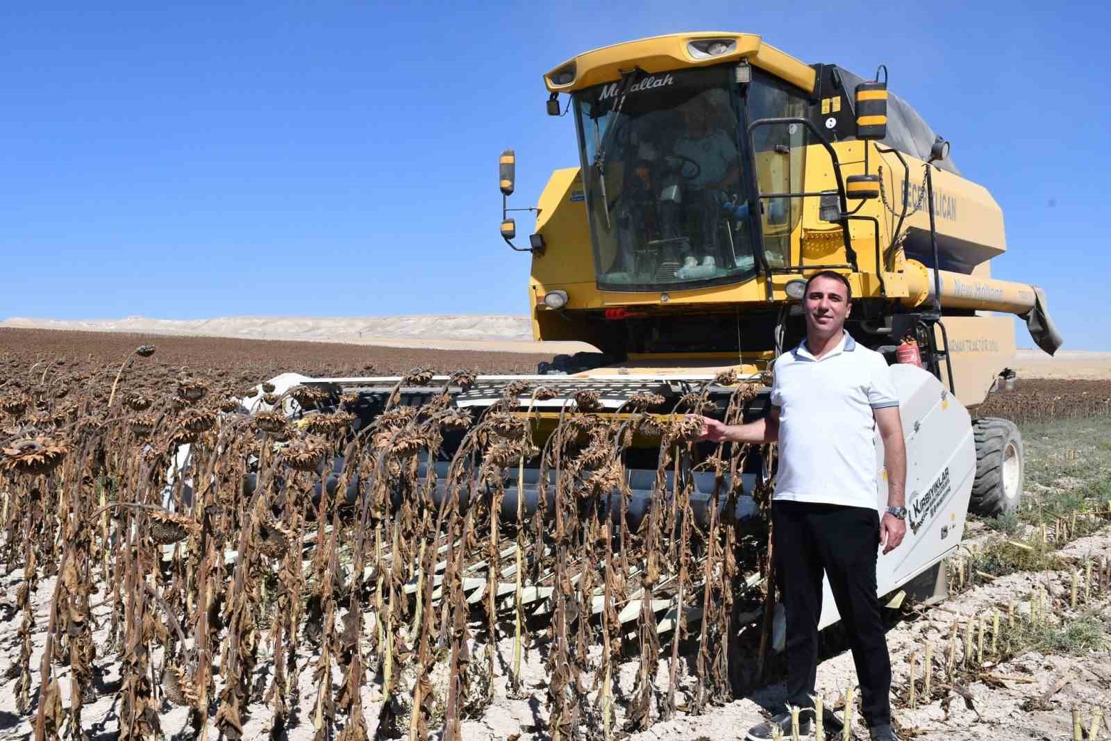 Beylikova Belediyesi’nden tarımda örnek proje