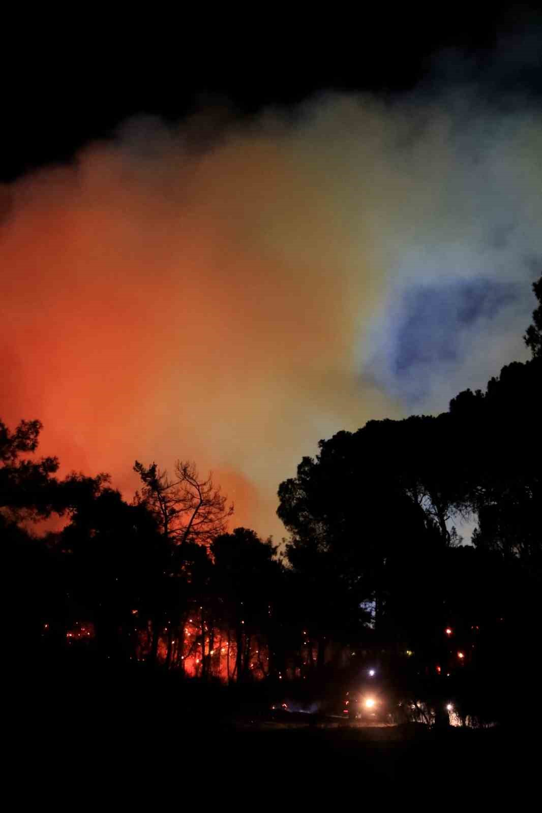 Antalya&rsquo;da otellere yakın ormanlık alanda &ccedil;ıkan yangın kontrol altına alındı
