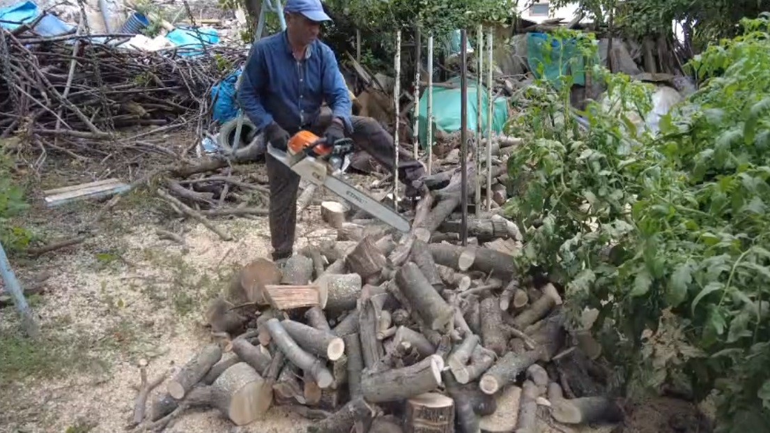 Köylerde kışlık odun hazırlığı