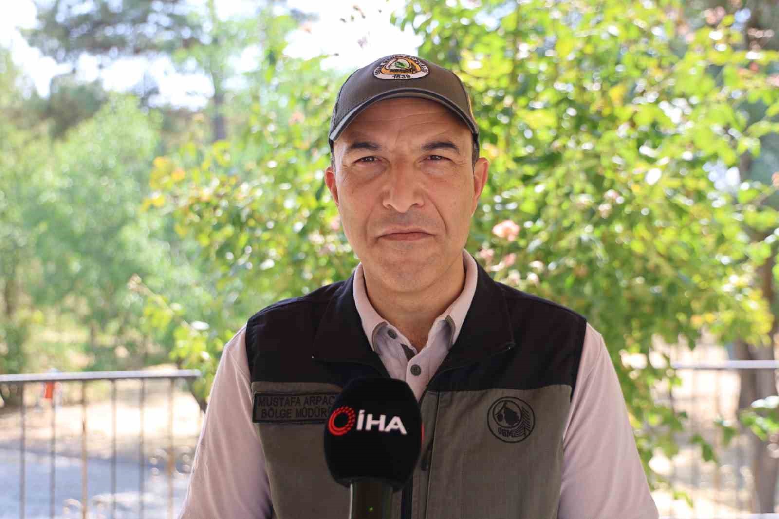 Elazığ’da üretilen milyonlarca fidan, ülkeye nefes oluyor
