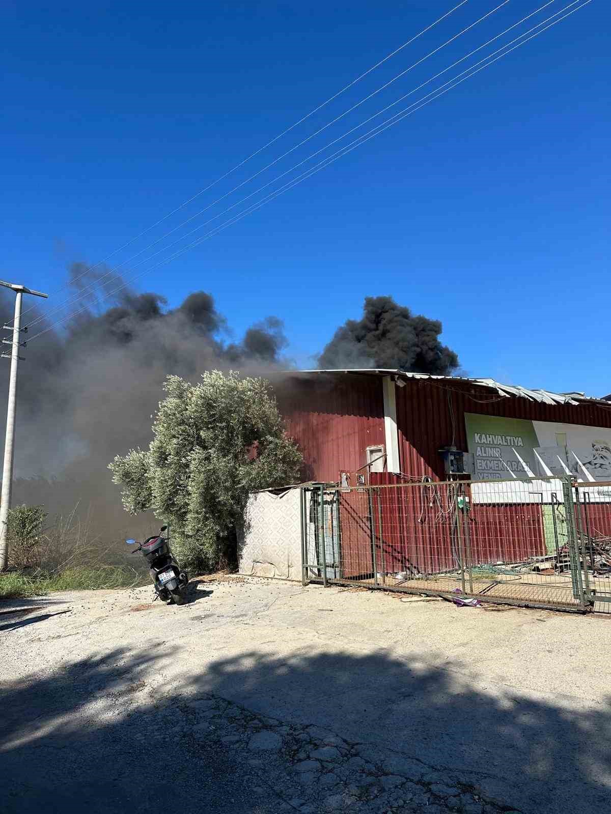 Kamışlık alanda başlayan yangın gıda toptancı deposuna sı&ccedil;radı
