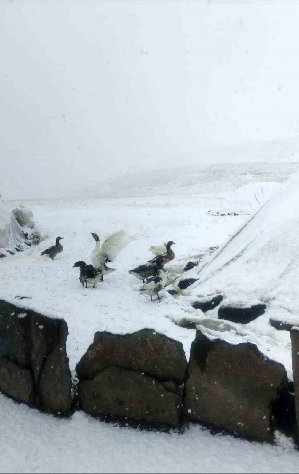 Ağrı’da yüksek kesimlere mevsimin ilk karı düştü
