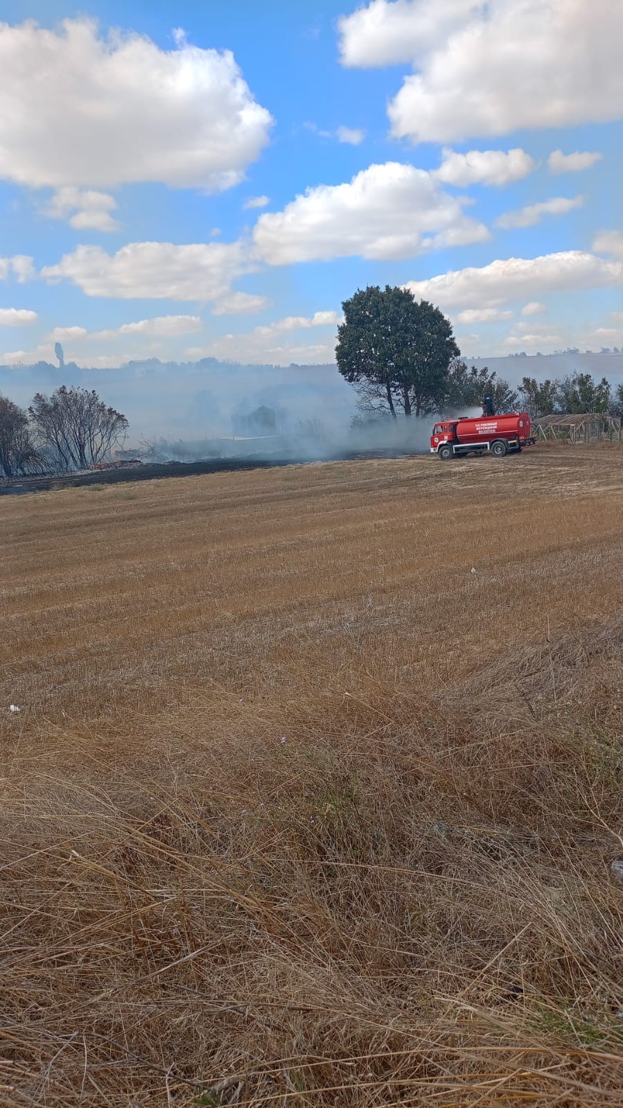 Tekirdağ&rsquo;da palet fabrikasından alevler y&uuml;kseldi: Y&uuml;zlerce palet alev alev yandı

